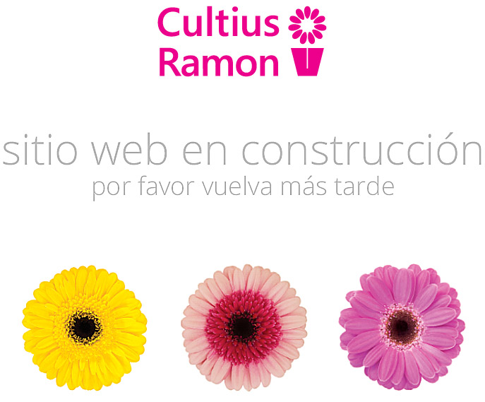 Cultius Ramon
